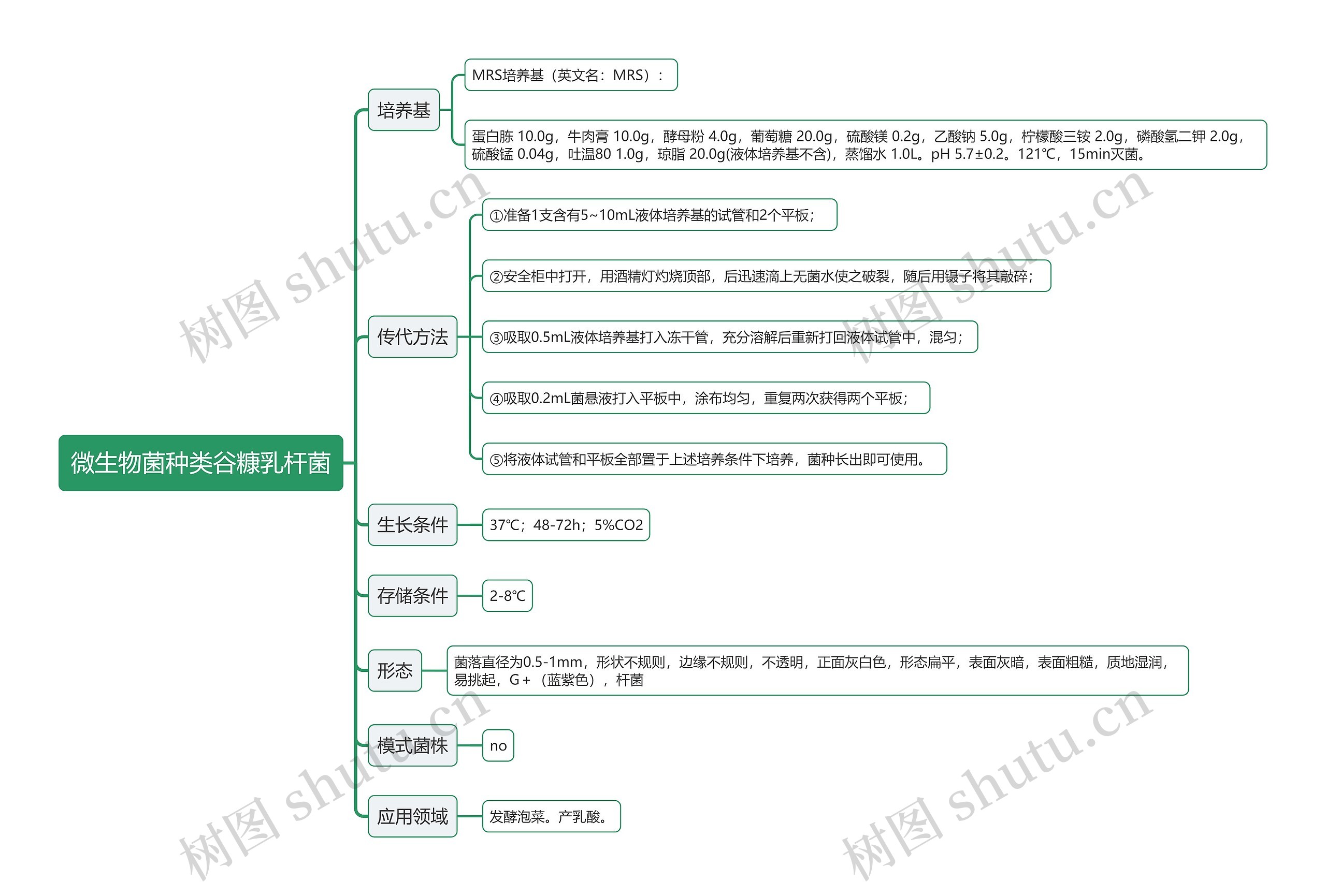 微生物菌种类谷糠乳杆菌思维导图