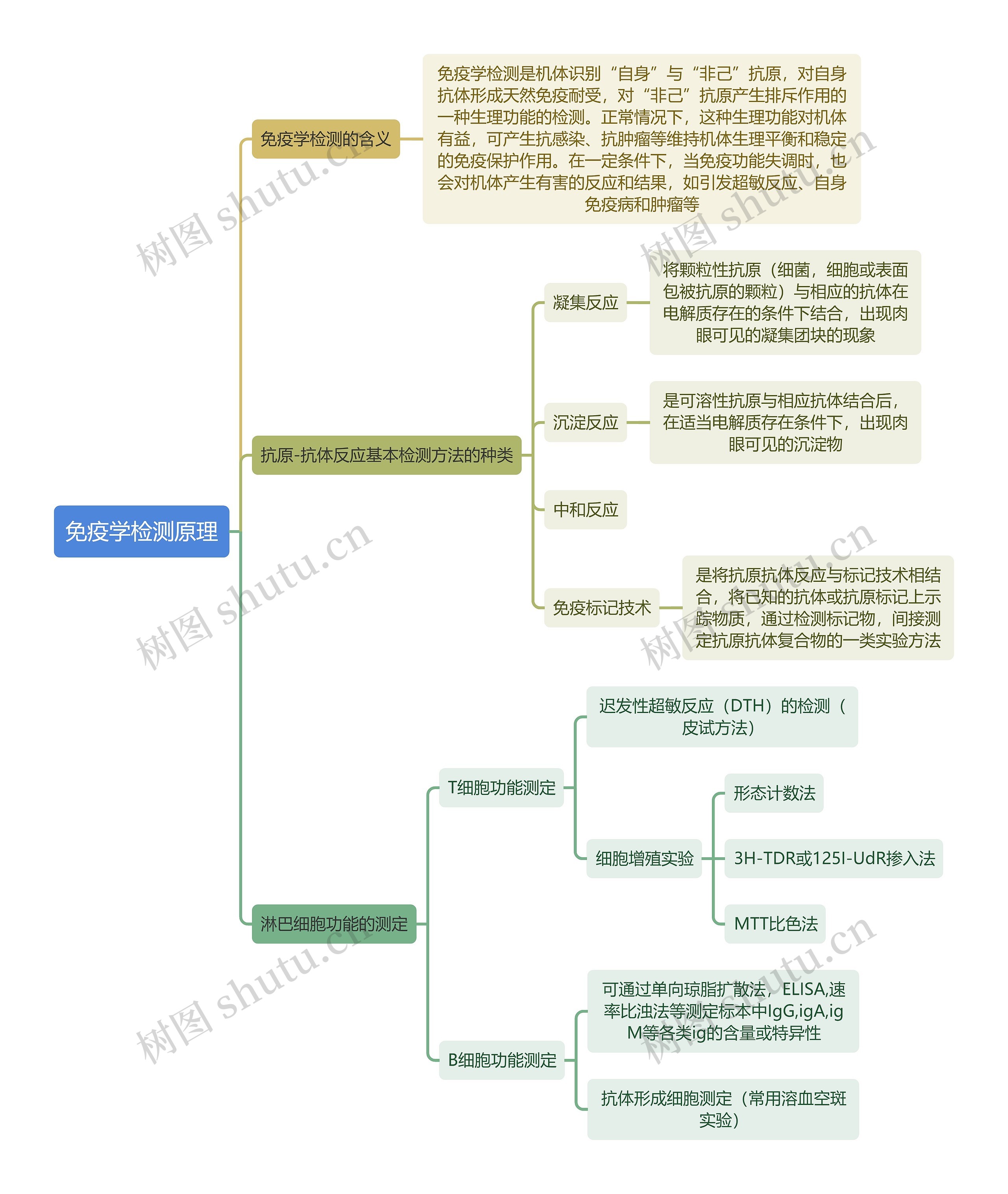 医学知识免疫学检测原理思维导图