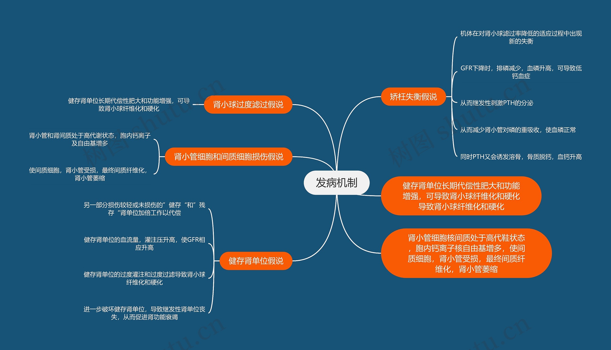 医学知识CRF发病机制思维导图