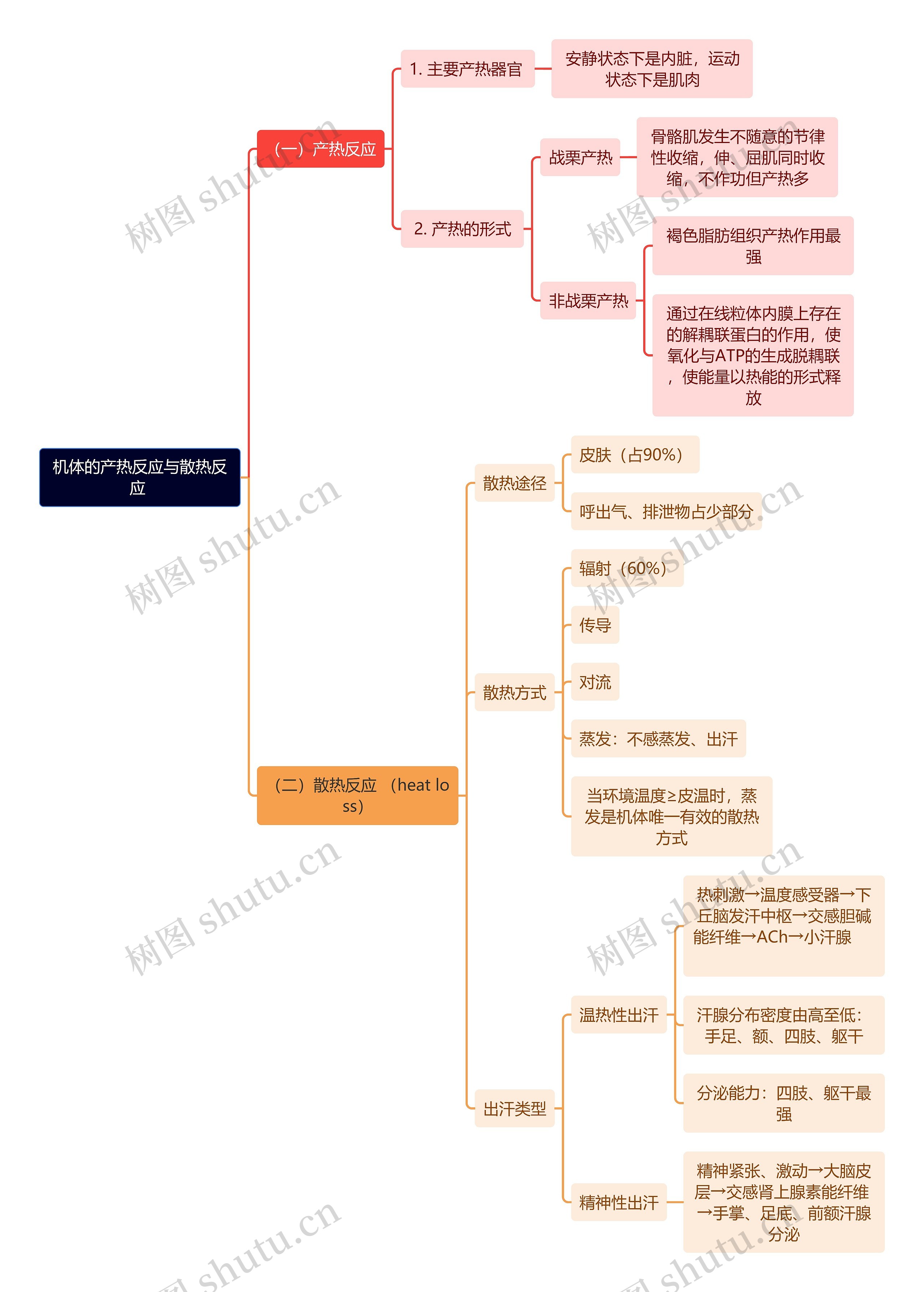 医学知识机体的产热反应与散热反应 思维导图