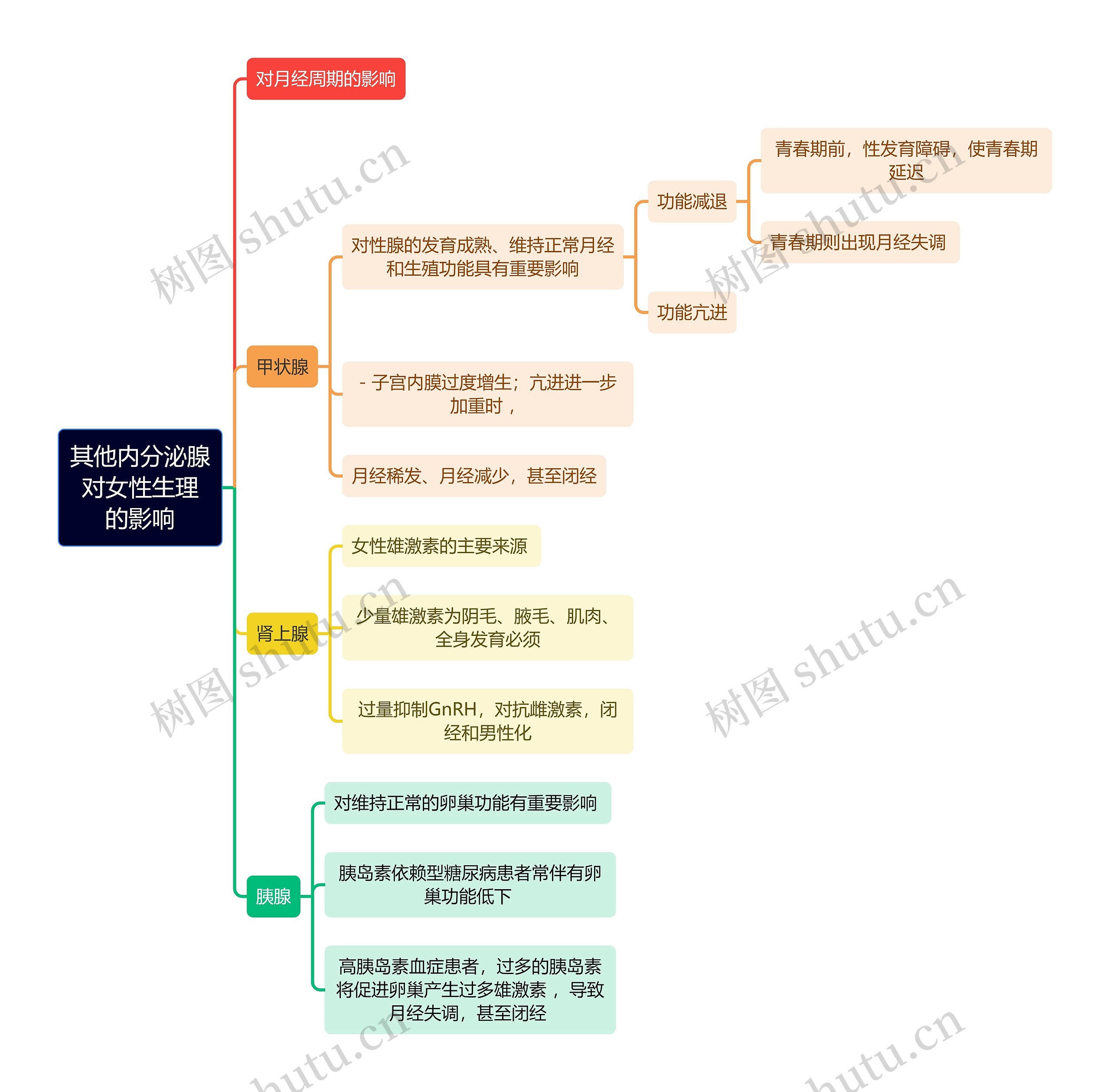 医学知识其他内分泌腺对女性生理的影响思维导图