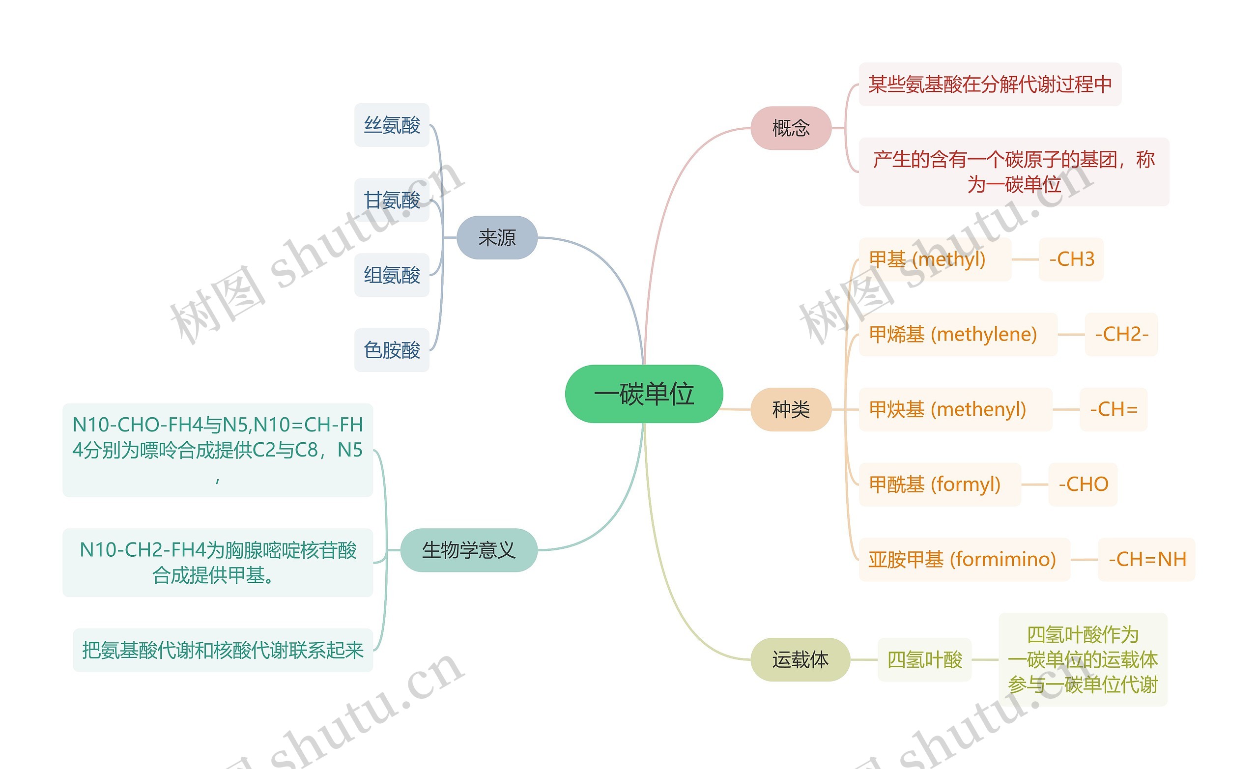 生化知识一碳单位思维导图