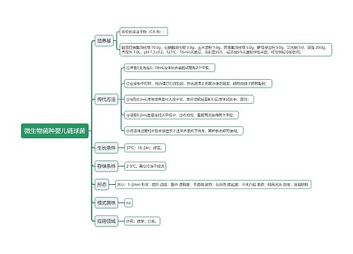 微生物菌种婴儿链球菌思维导图