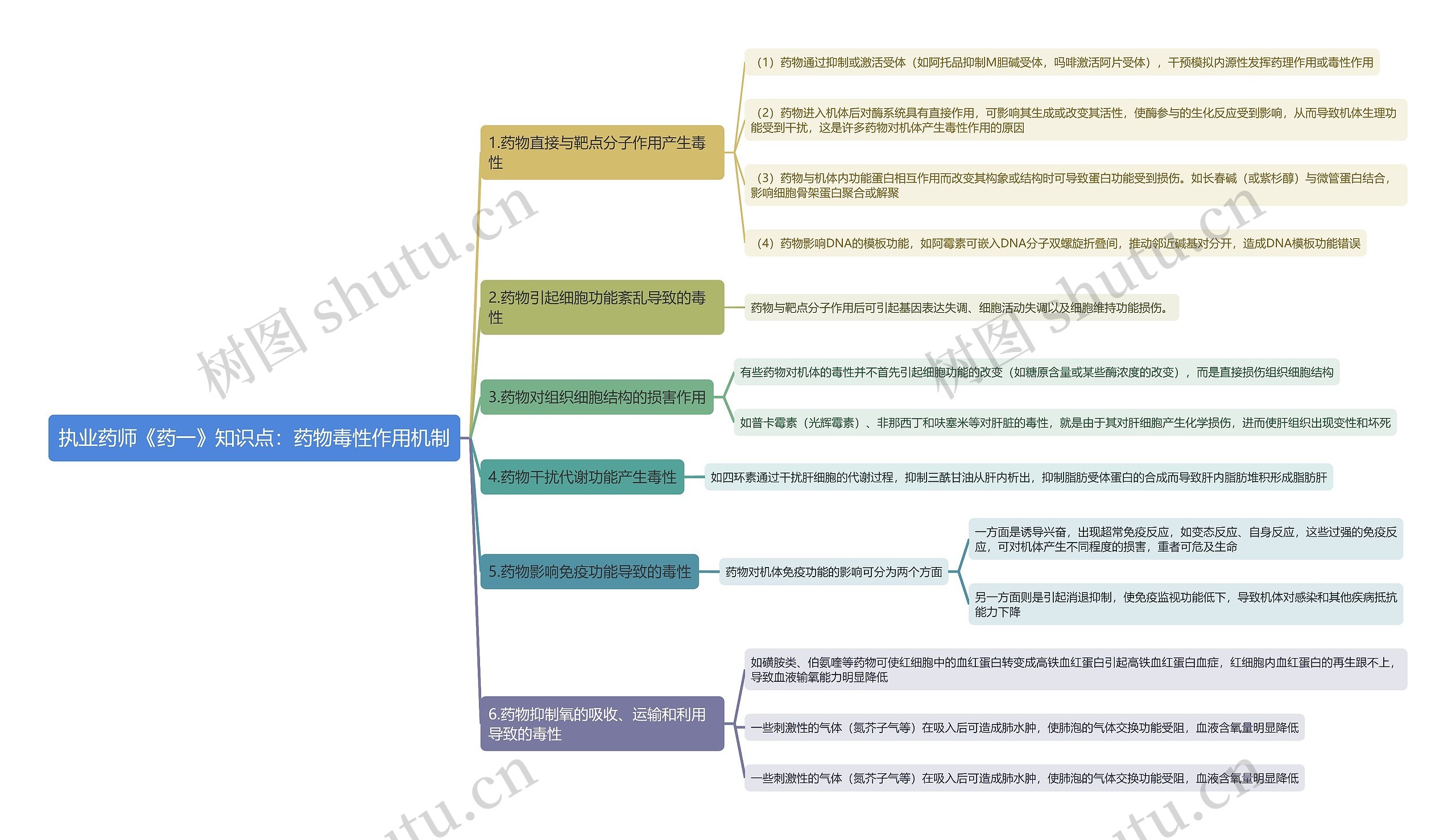 执业药师《药一》知识点：药物毒性作用机制