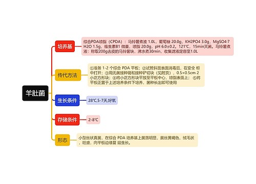 羊肚菌思维导图