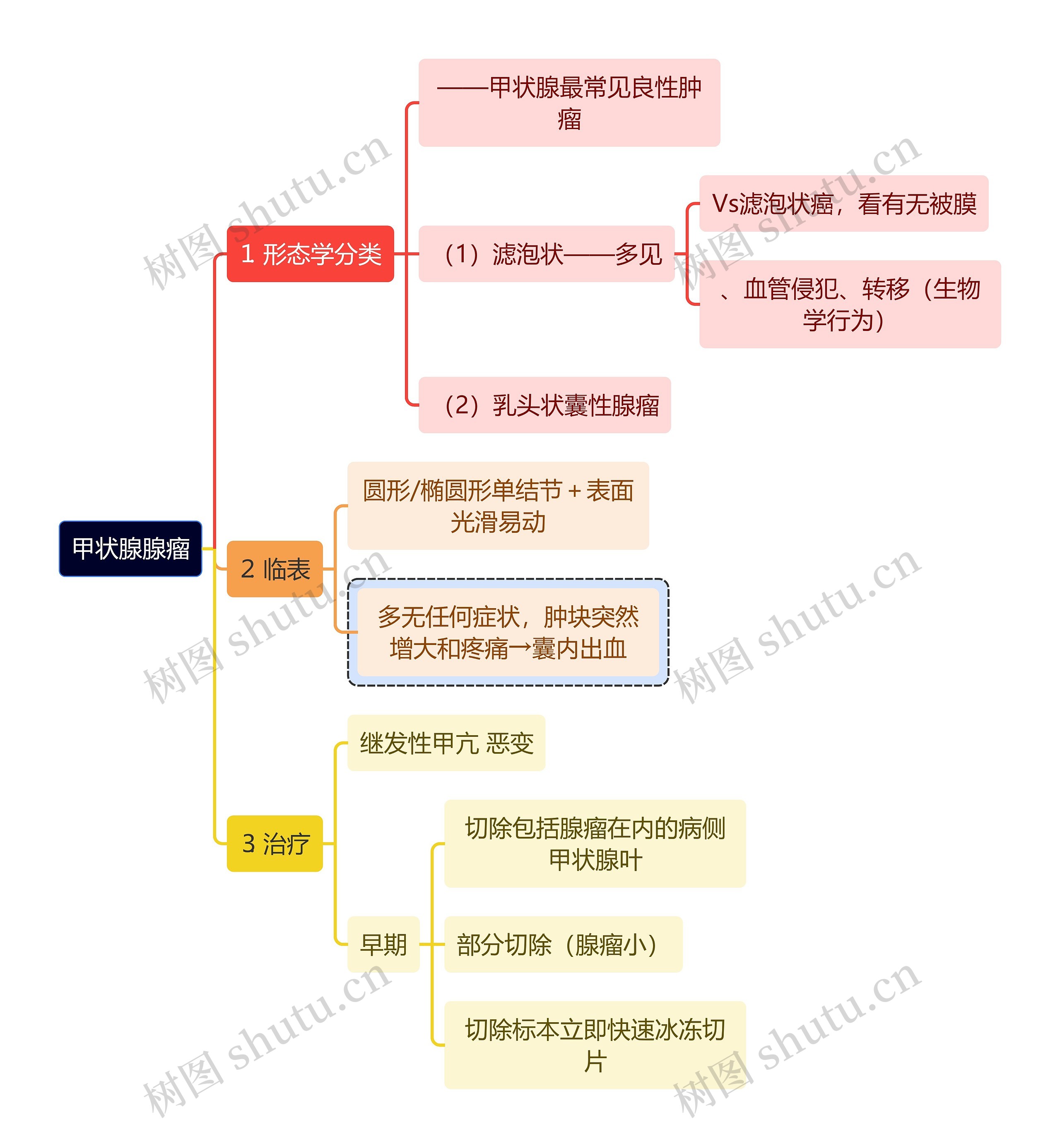 医学知识甲状腺腺瘤思维导图