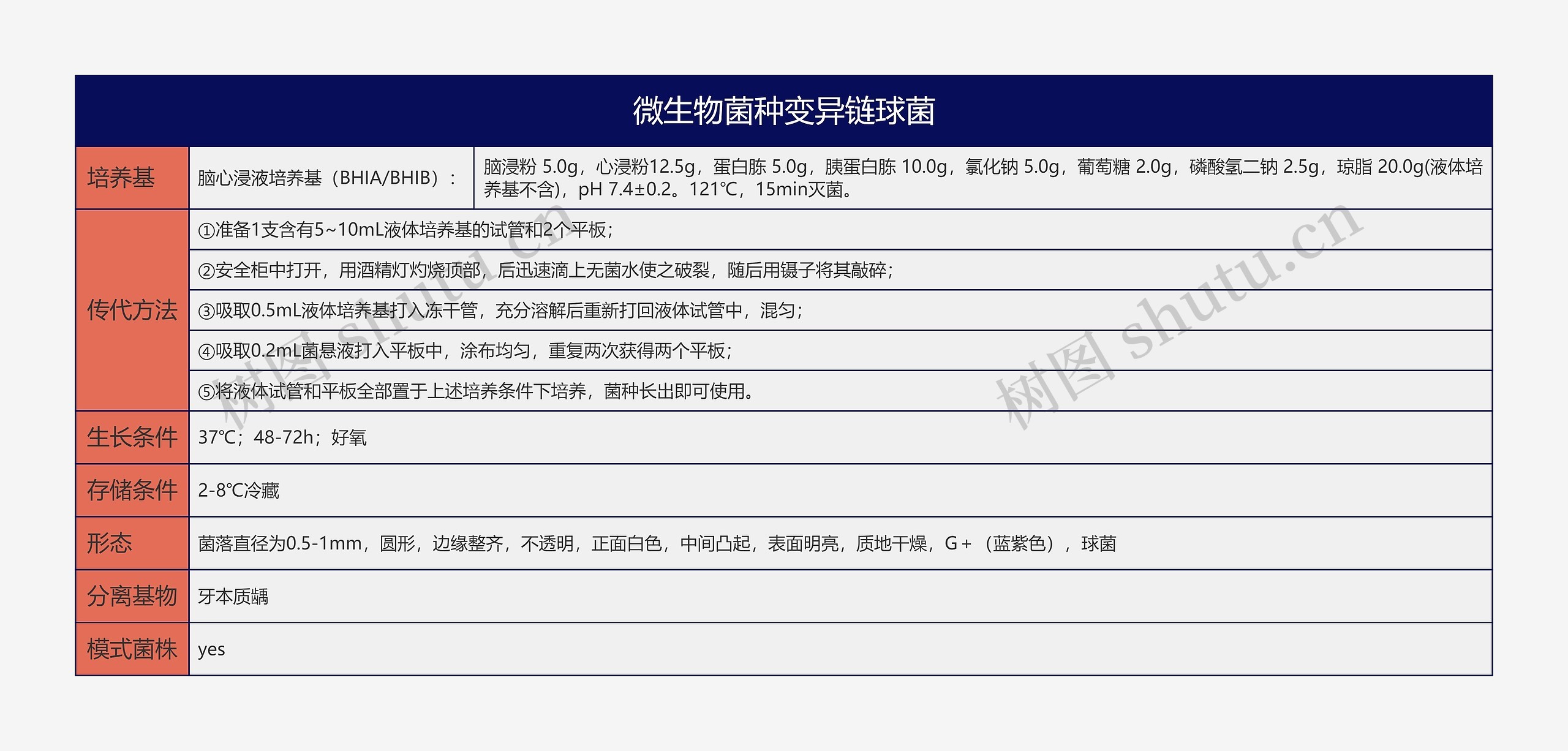 微生物菌种变异链球菌