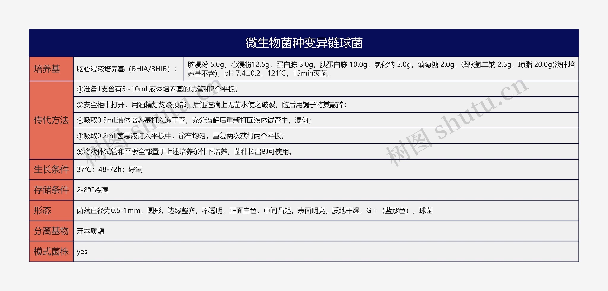 微生物菌种变异链球菌思维导图