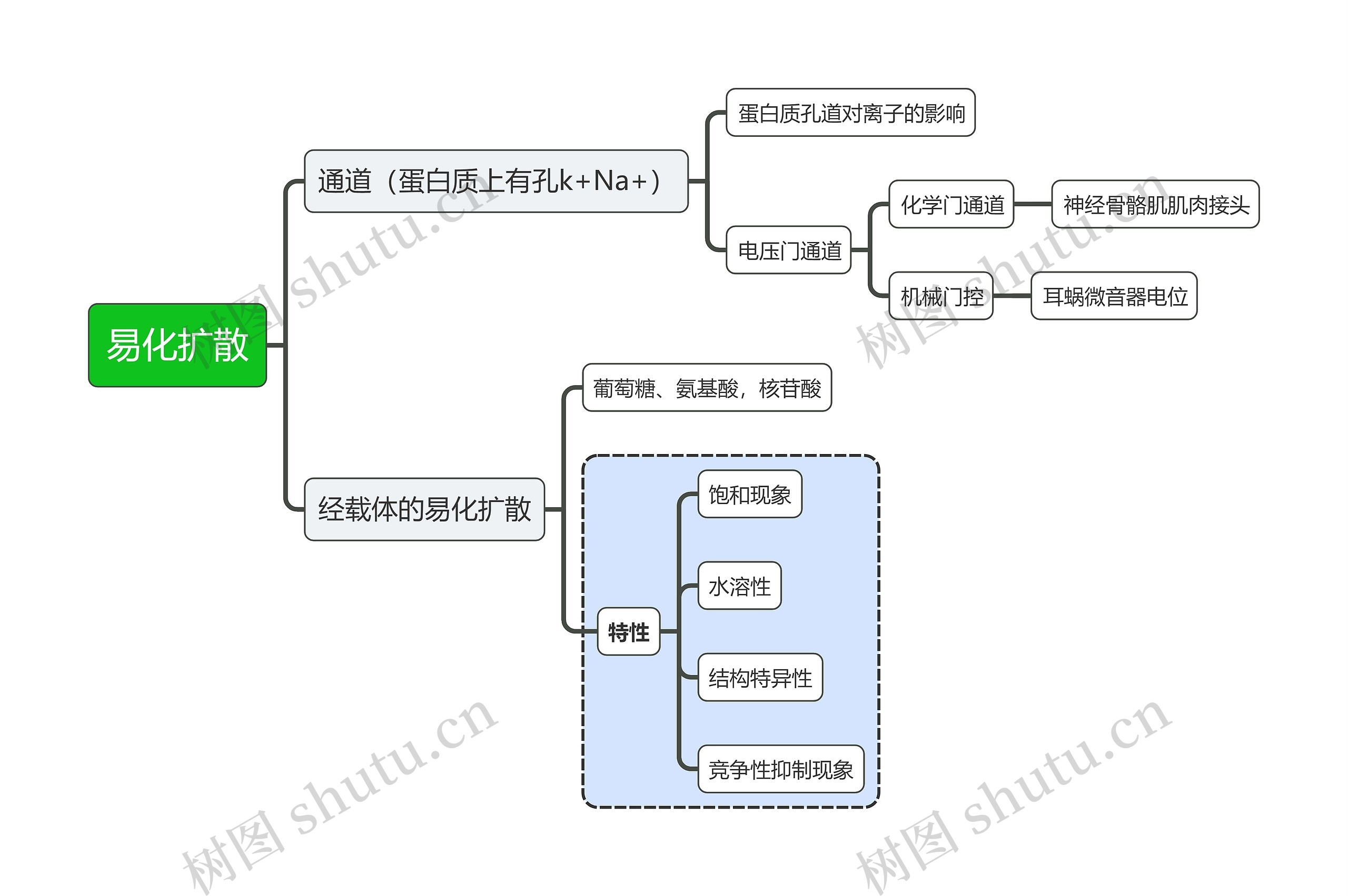 医学知识易化扩散思维导图