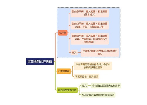 医学知识蛋白质的营养价值思维导图