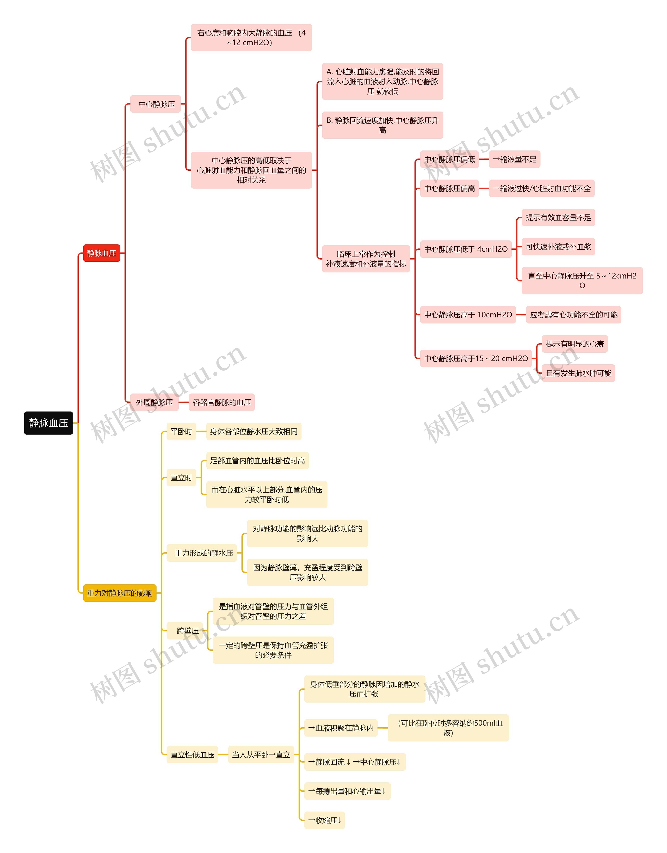 医学知识静脉血压思维导图