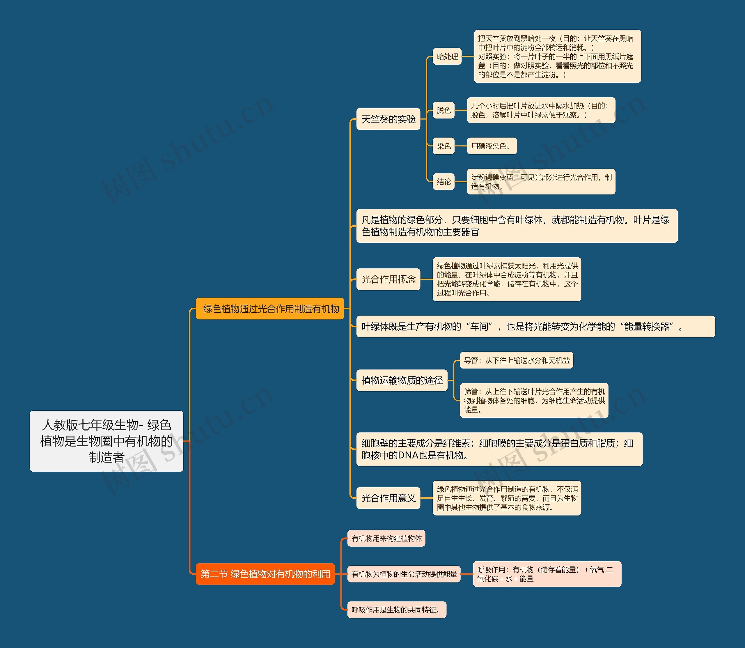 人教版七年级生物- 绿色植物是生物圈中有机物的制造者思维导图
