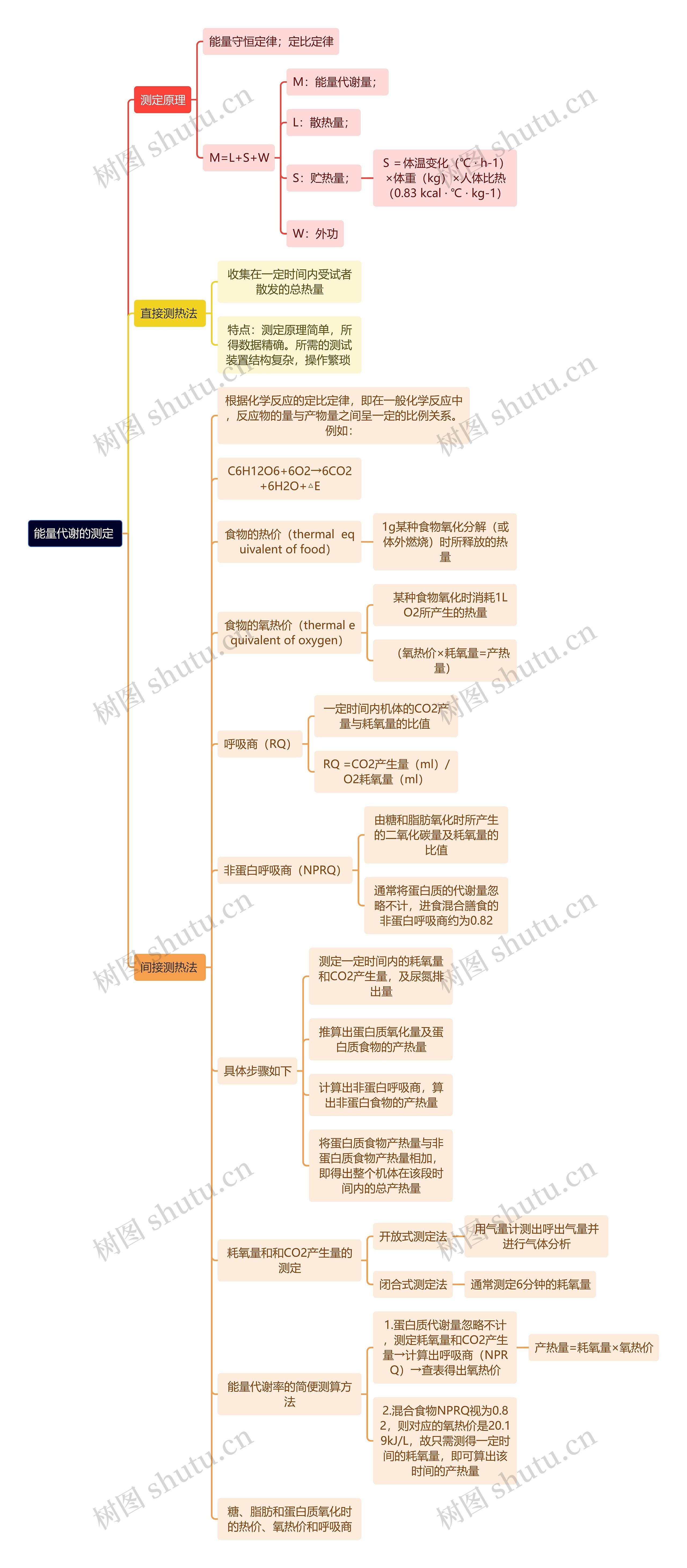 医学知识能量代谢的测定思维导图