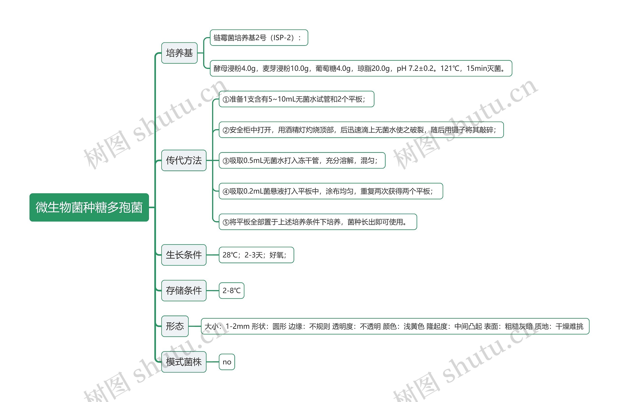 微生物菌种糖多孢菌思维导图