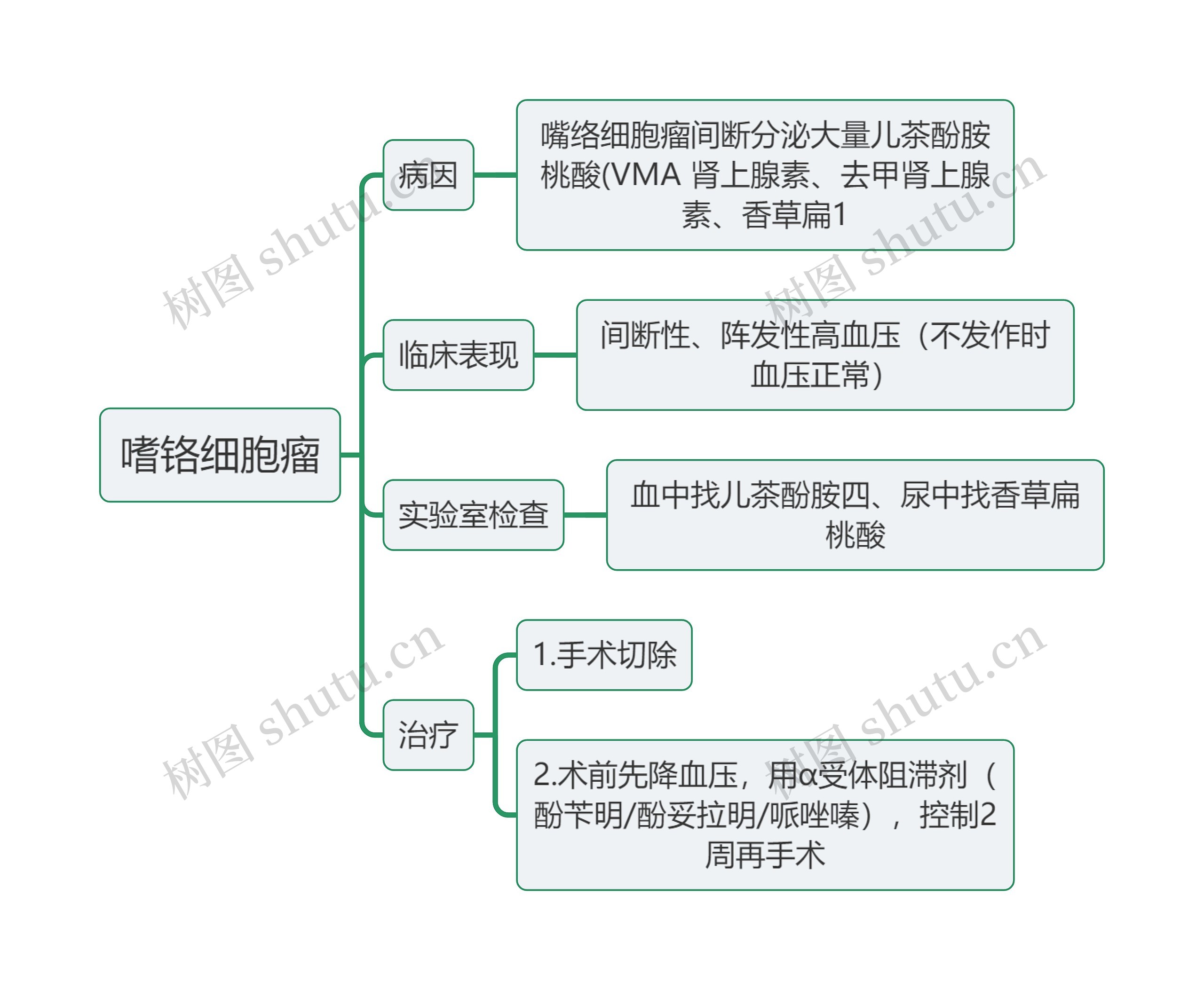 内科学知识嗜铬细胞瘤思维导图