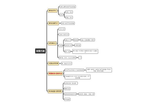 医学知识能量代谢思维导图