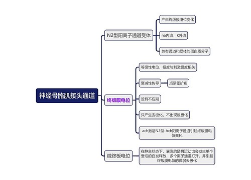 医学知识神经骨骼肌接头通道思维导图