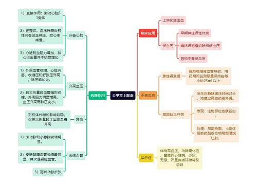 医学知识去甲肾上腺素思维导图