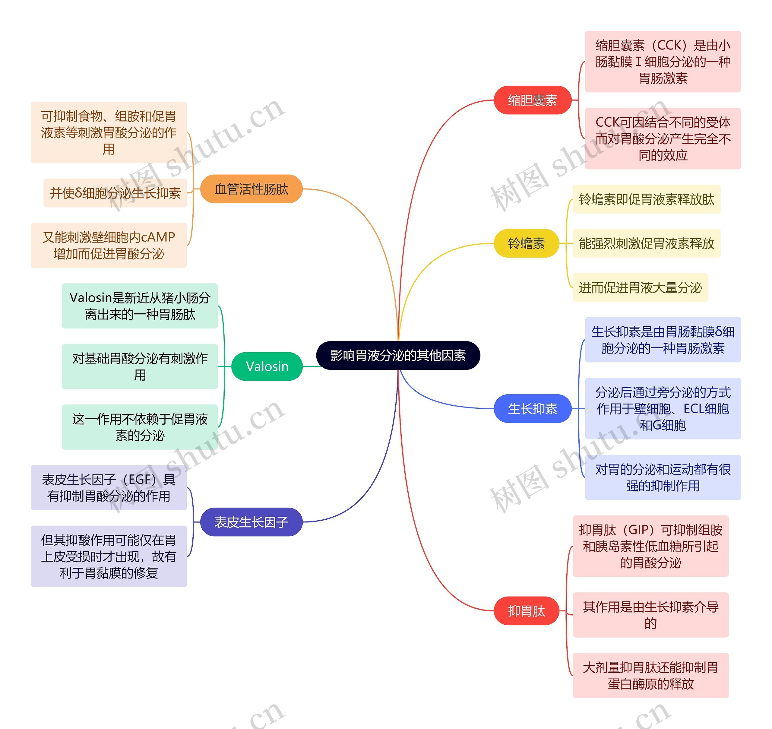 医学知识影响胃液分泌的其他因素思维导图