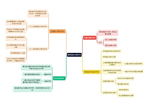 医学知识胰岛素的生物作用思维导图