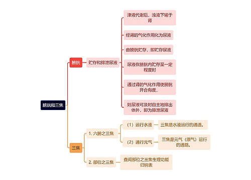 中医知识膀胱和三焦思维导图