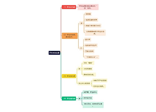 中医知识肝的系统连属思维导图
