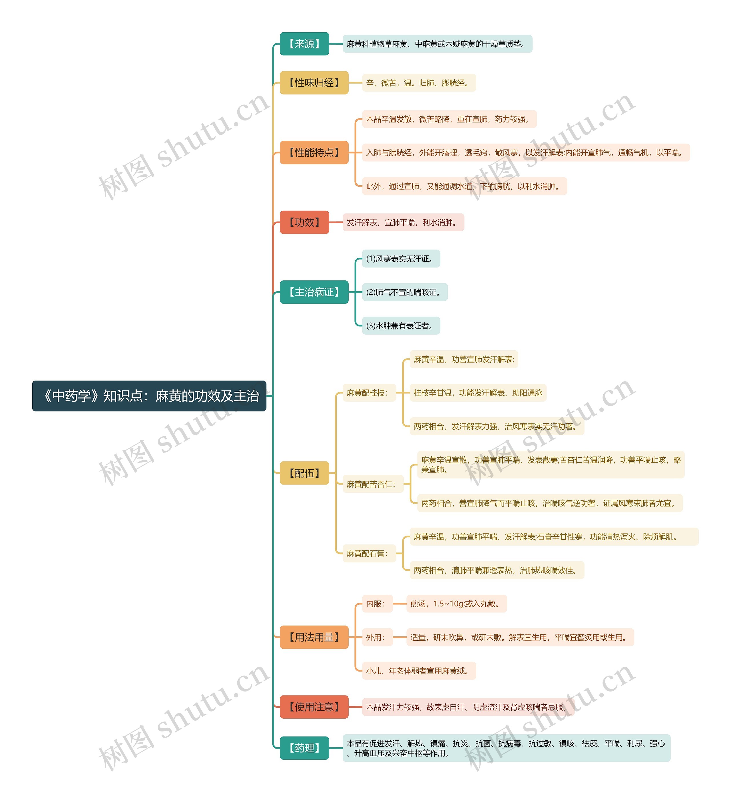 《中药学》知识点：麻黄的功效及主治思维导图