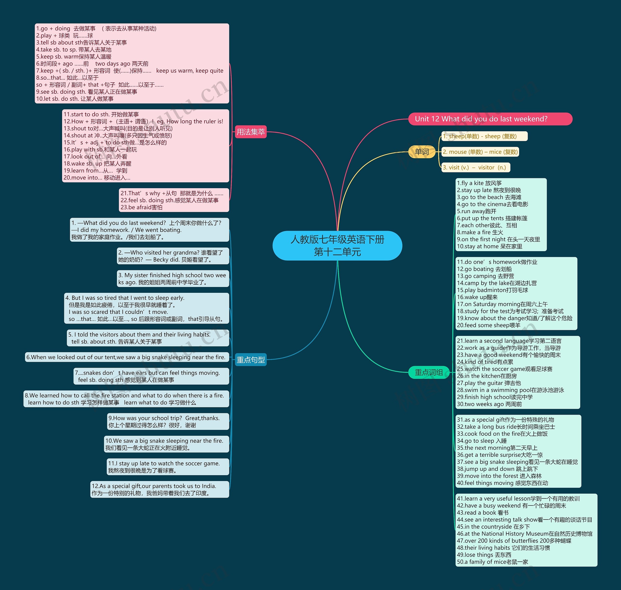 人教版七年级英语下册第十二单元思维导图