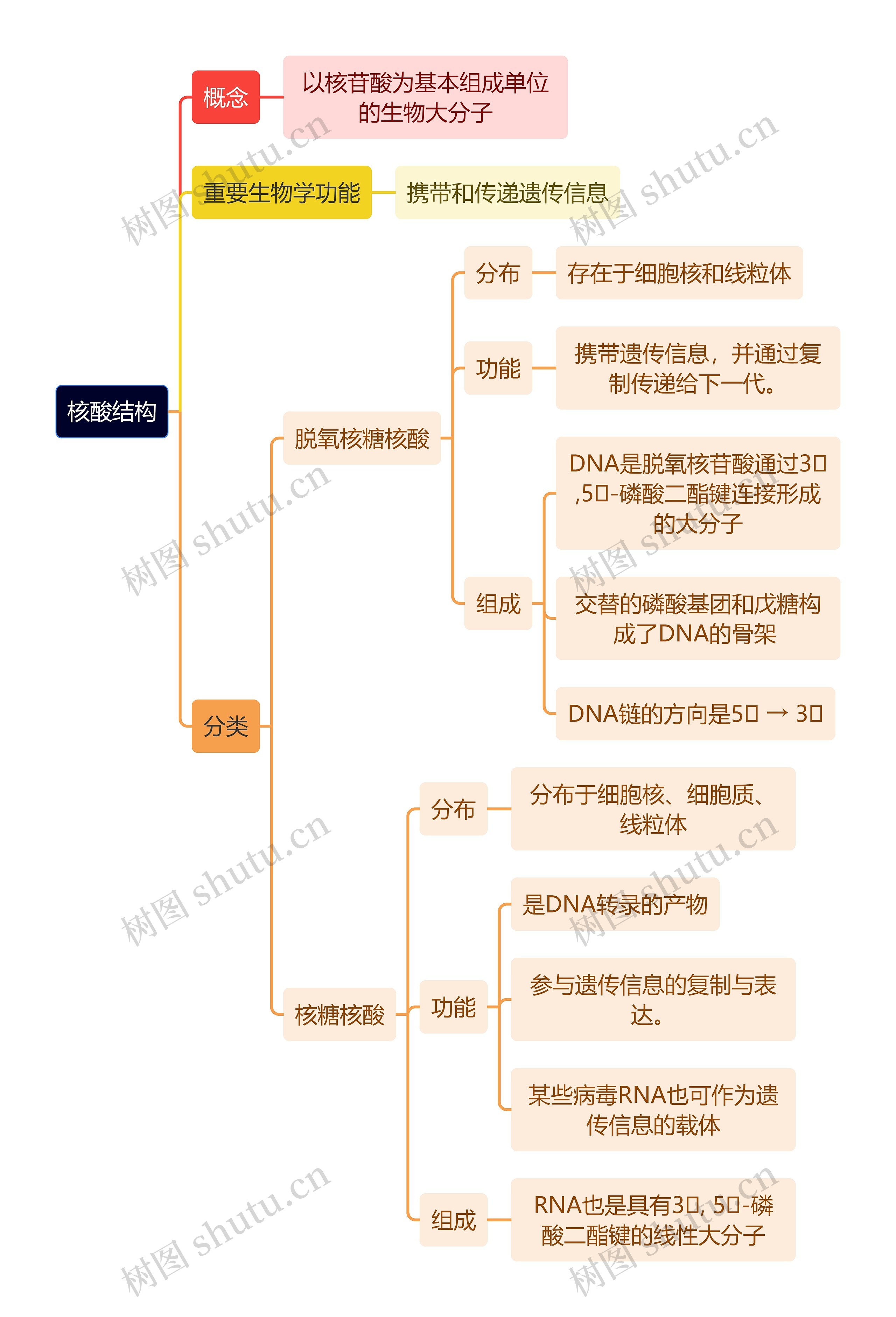 生化知识核酸结构思维导图