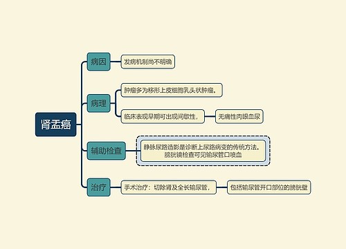 内科学知识肾盂癌思维导图