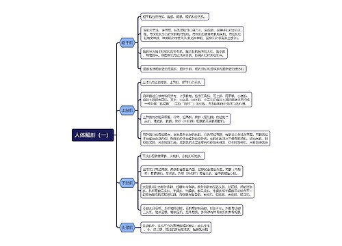 《人体解剖（一）》思维导图