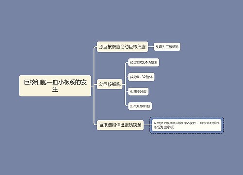 医学知识巨核细胞—血小板系的发生思维导图