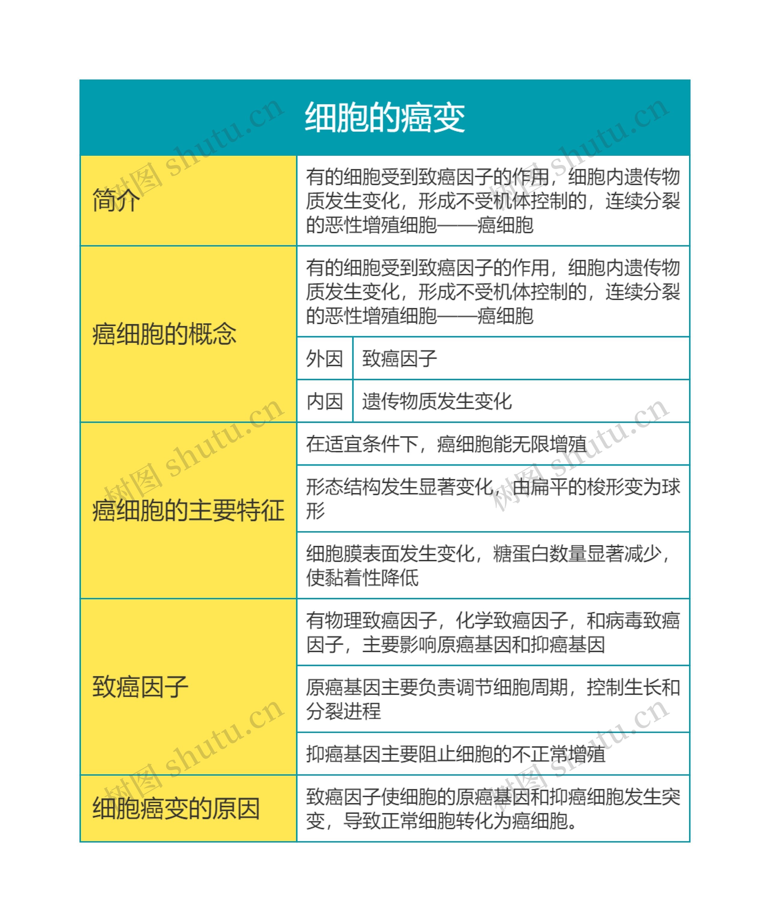 高中生物必修一第六单元细胞的癌变思维导图