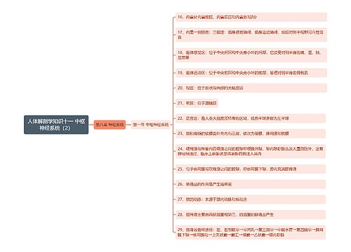 《人体解剖学知识十一 中枢神经系统（2）》思维导图