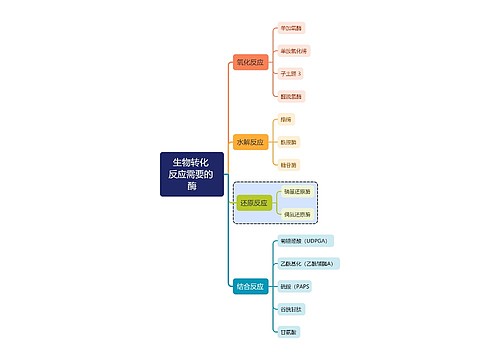 医学知识生物转化反应需要的酶思维导图