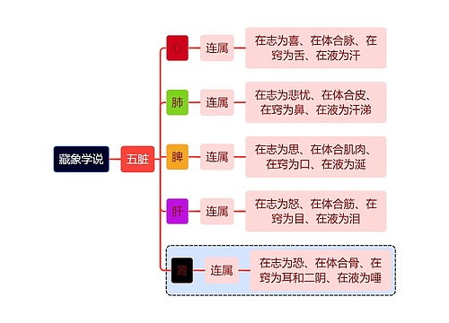 医学知识五脏连属思维导图