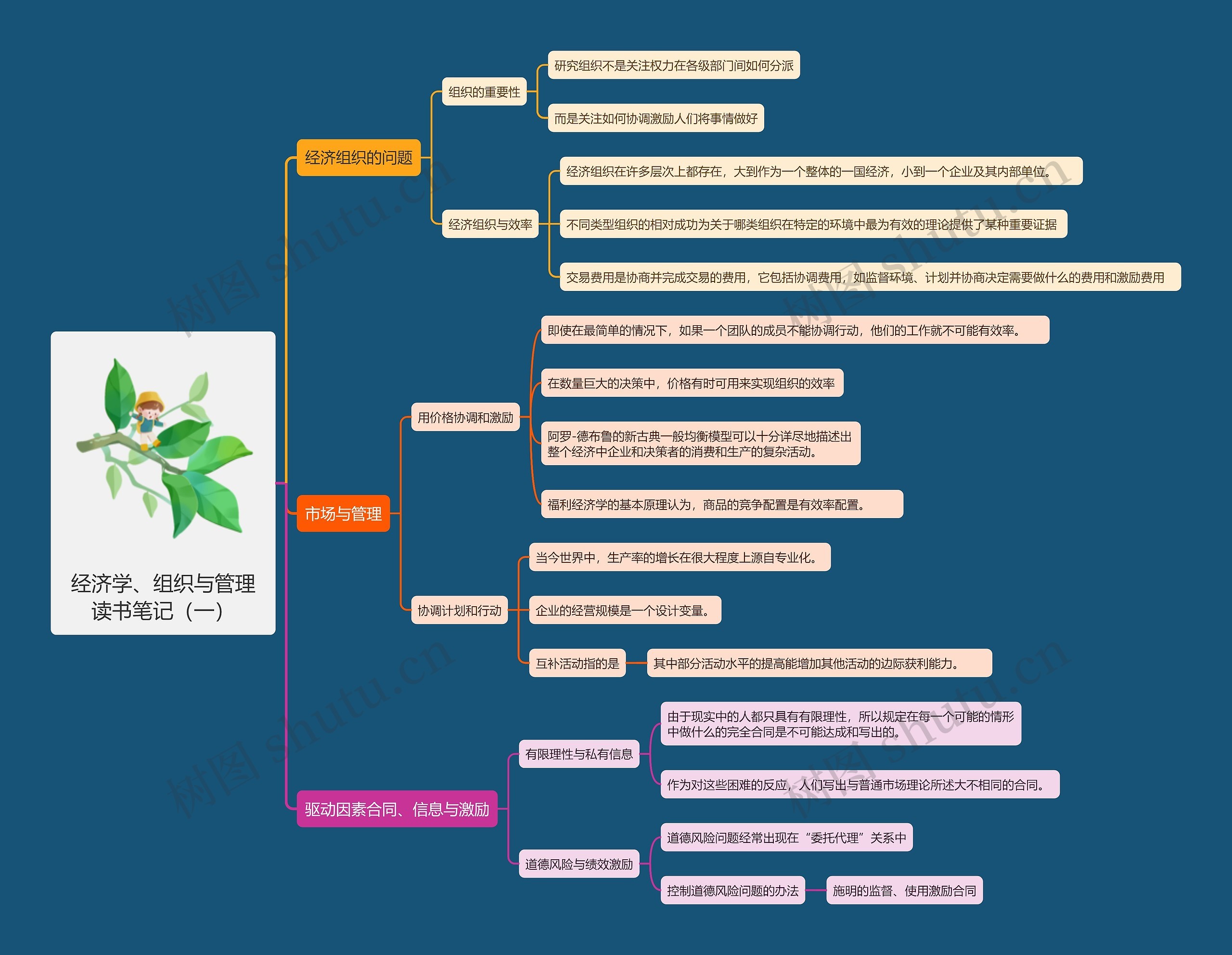 经济学、组织与管理读书笔记（一）思维导图