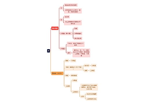 解剖学知识鼻思维导图