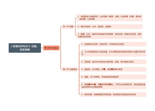 《人体解剖学知识十 视器、前庭蜗器》思维导图