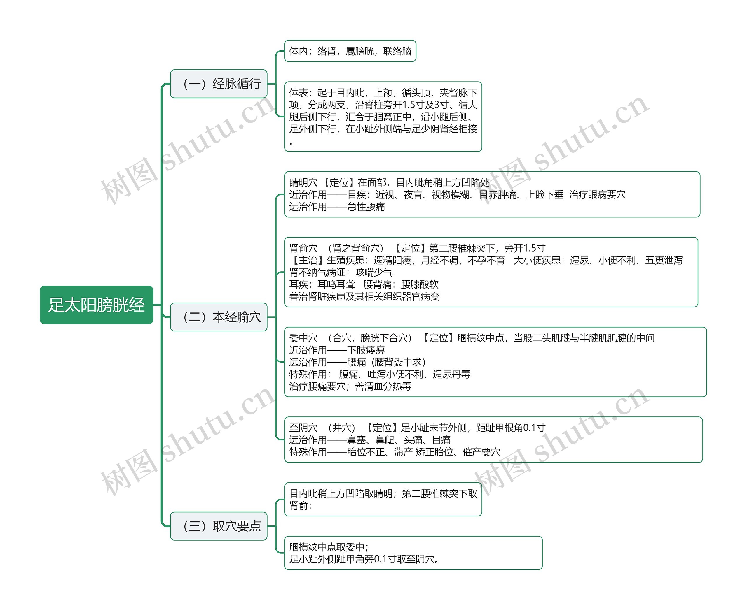 足太阳膀胱经思维导图