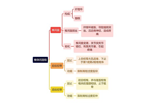 解剖学知识椎体间连结思维导图