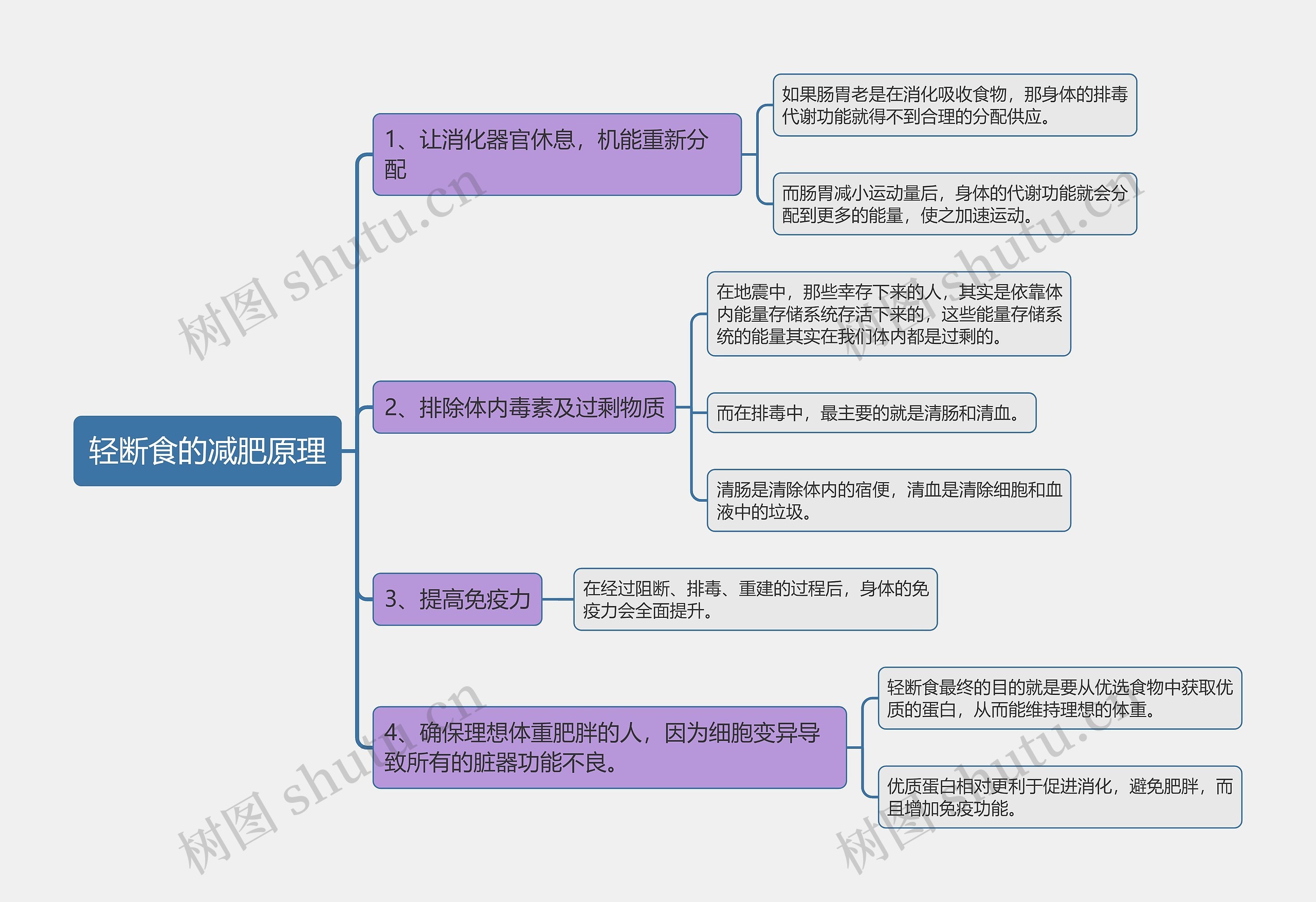 轻断食的减肥原理思维导图