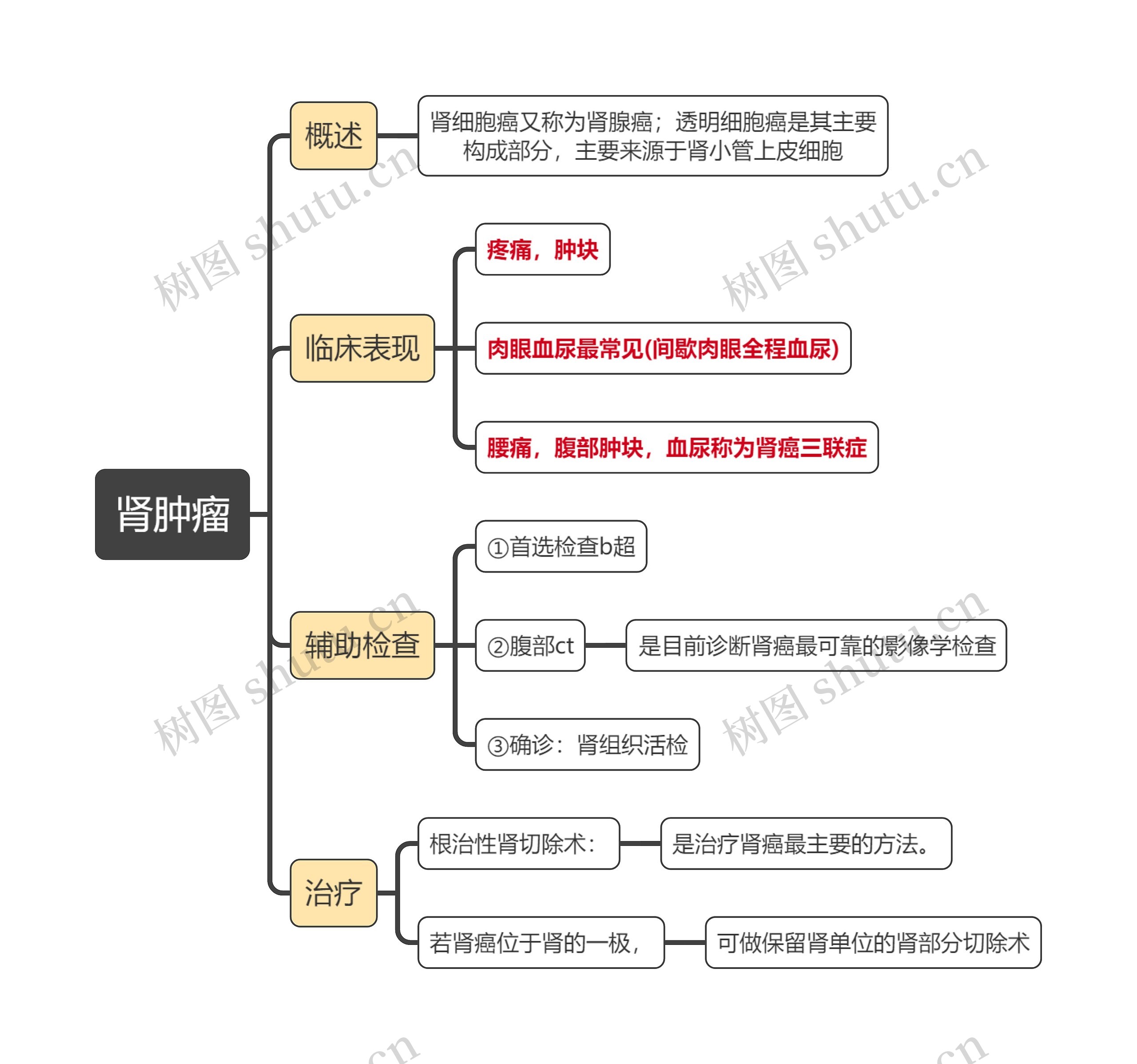 内科学肾肿瘤思维导图