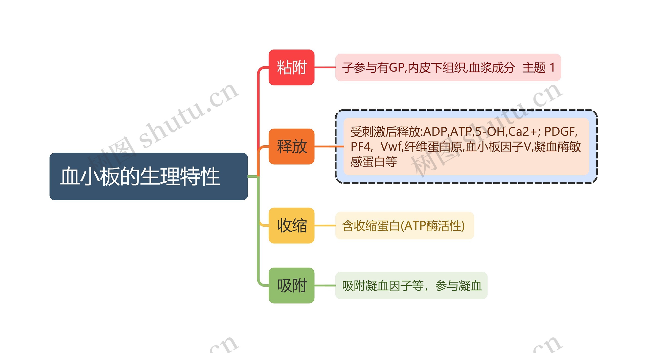 医学知识血小板的生理特性思维导图