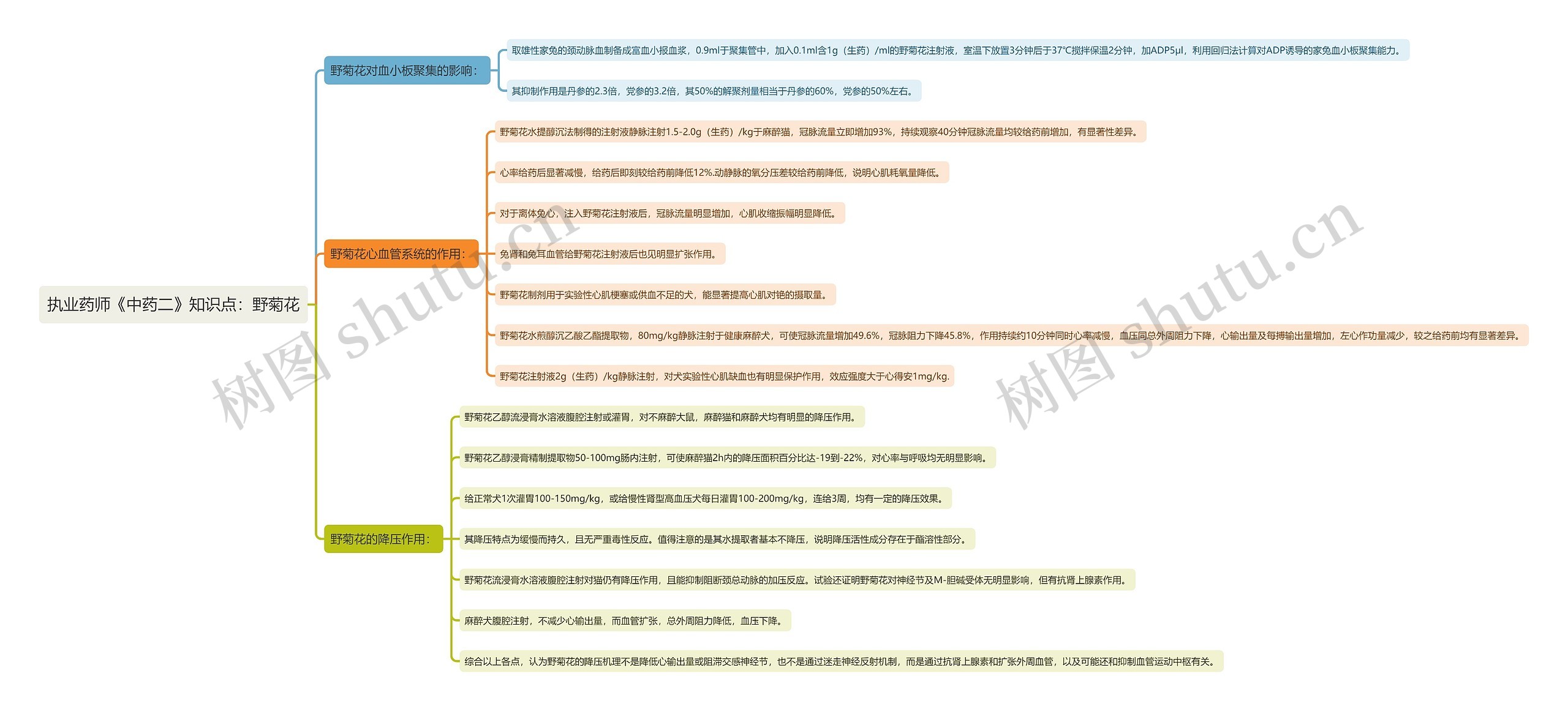 执业药师《中药二》知识点：野菊花思维导图