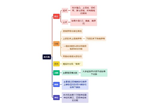 解剖学知识斜方肌思维导图