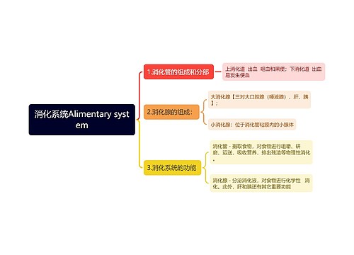 消化系统Alimentary system思维导图