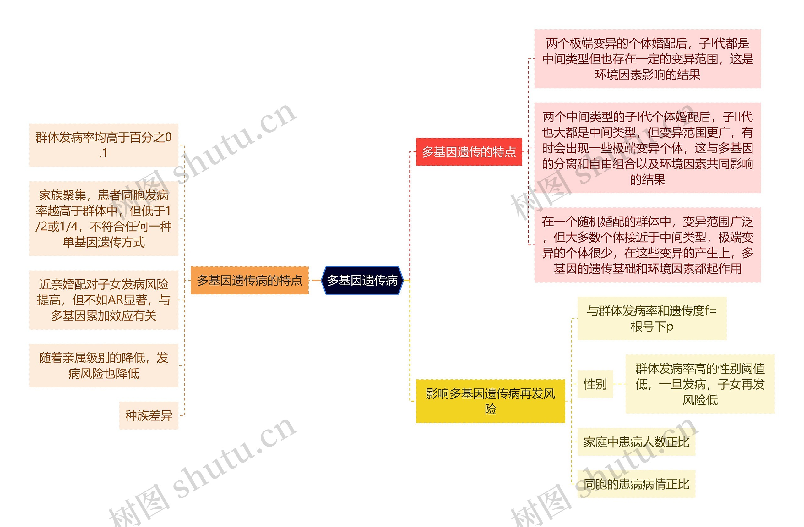 医学知识多基因遗传病思维导图