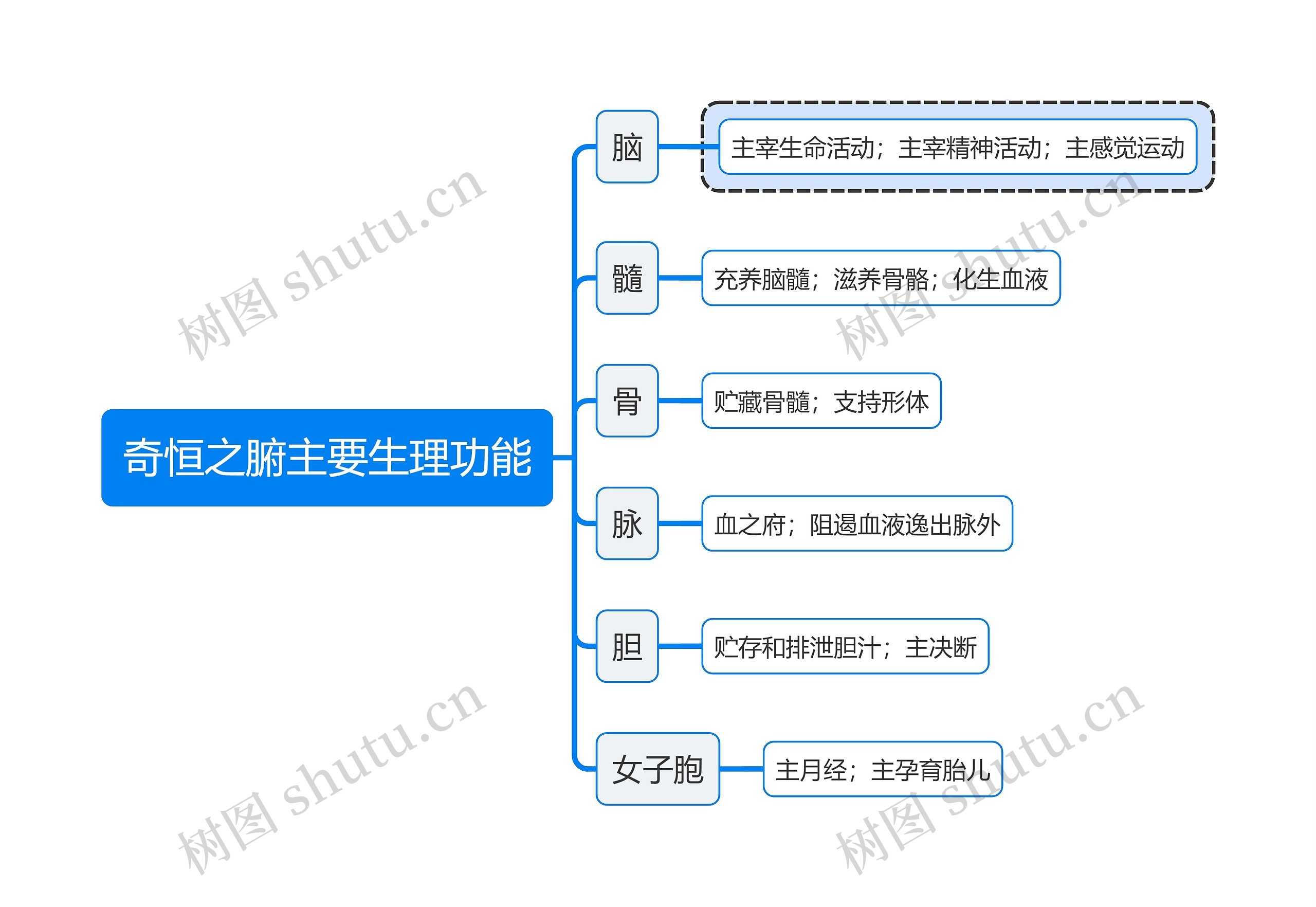 中医知识奇恒之腑主要生理功能思维导图