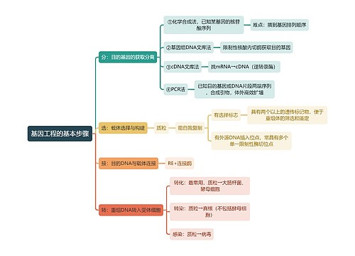 医学知识基因工程的基本步骤思维导图